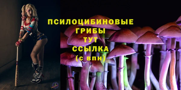 гидропоника Новокубанск