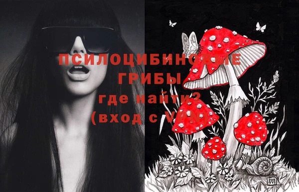 гидропоника Новокубанск