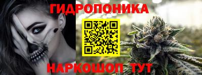прущая мука Кингисепп