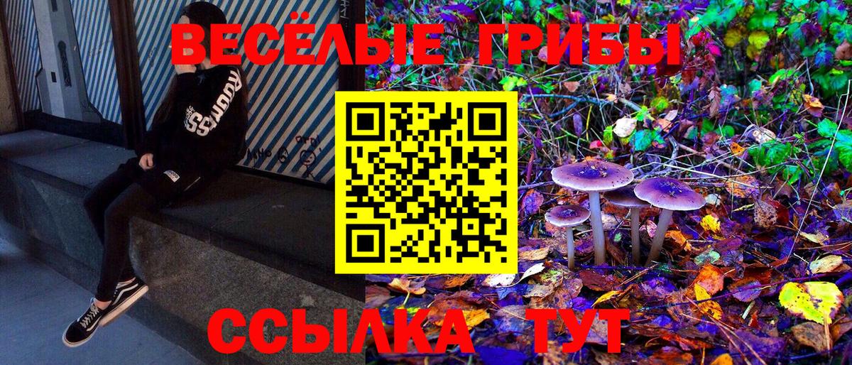 Ржев  купить наркотик  Псилоцибиновые грибы Cubensis  Вход с VPN  Галлюциногенные грибы Magic Shrooms 