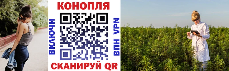 купить наркоту  Ржев  kraken   Бошки Шишки план 